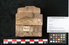 Foto (Objekt + Etikett) von Quercus sp.  (NHMW-GEO-2024-0188-11583)